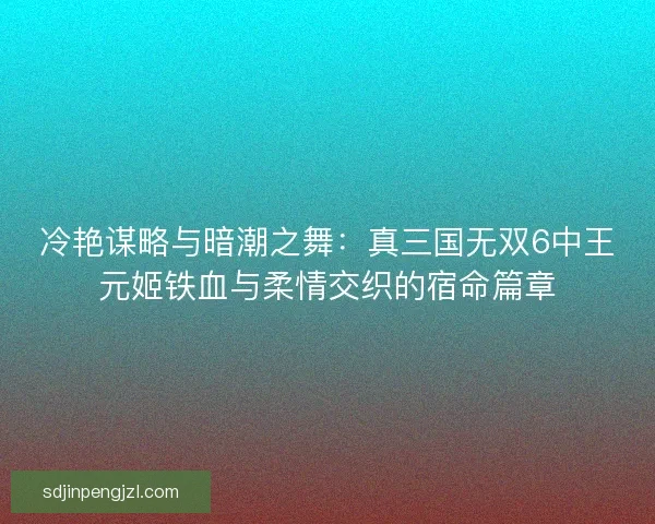 冷艳谋略与暗潮之舞：真三国无双6中王元姬铁血与柔情交织的宿命篇章