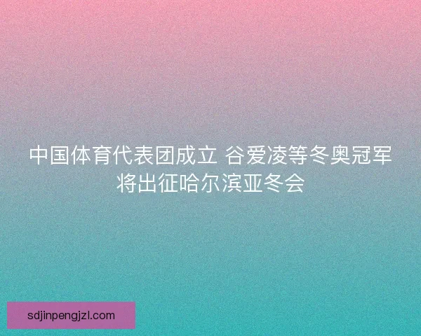 中国体育代表团成立 谷爱凌等冬奥冠军将出征哈尔滨亚冬会